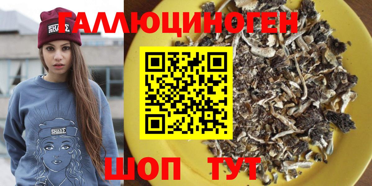Псилоцибиновые грибы мицелий  Псилоцибиновые грибы Magic Shrooms  Вход с VPN  Дзержинск 