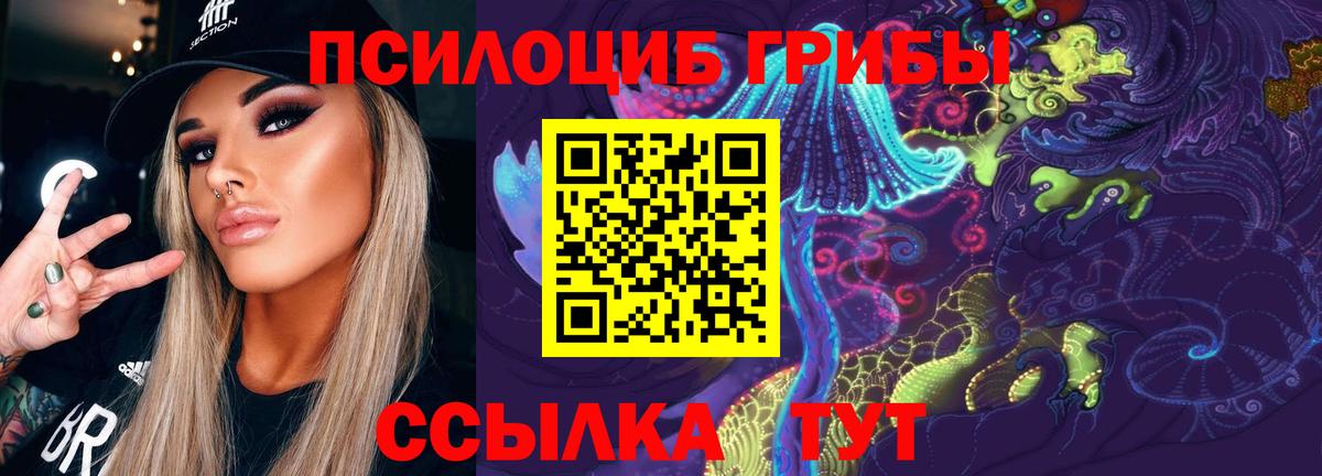 Галлюциногенные грибы Cubensis Дзержинск